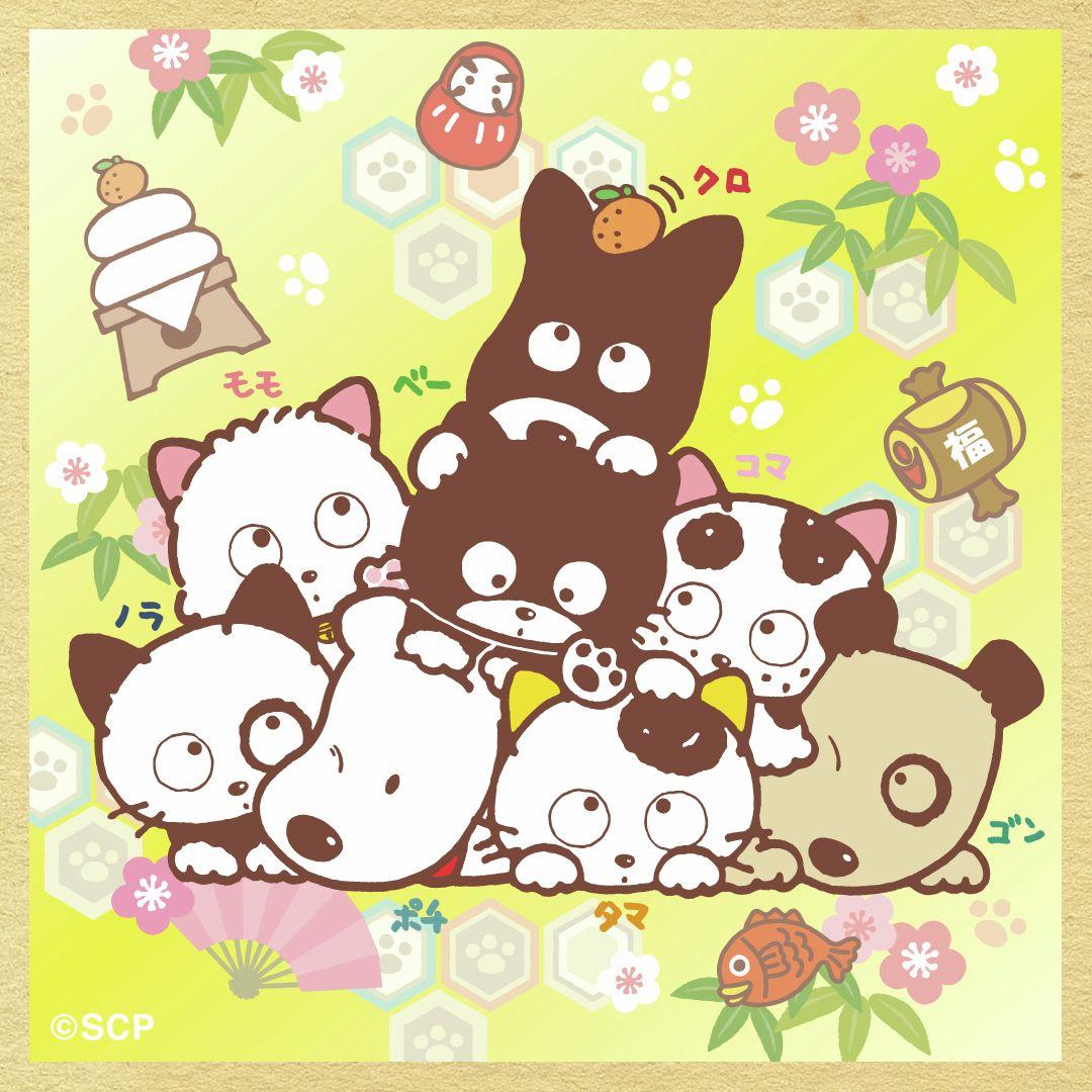 うちのタマしりませんか　正方形8