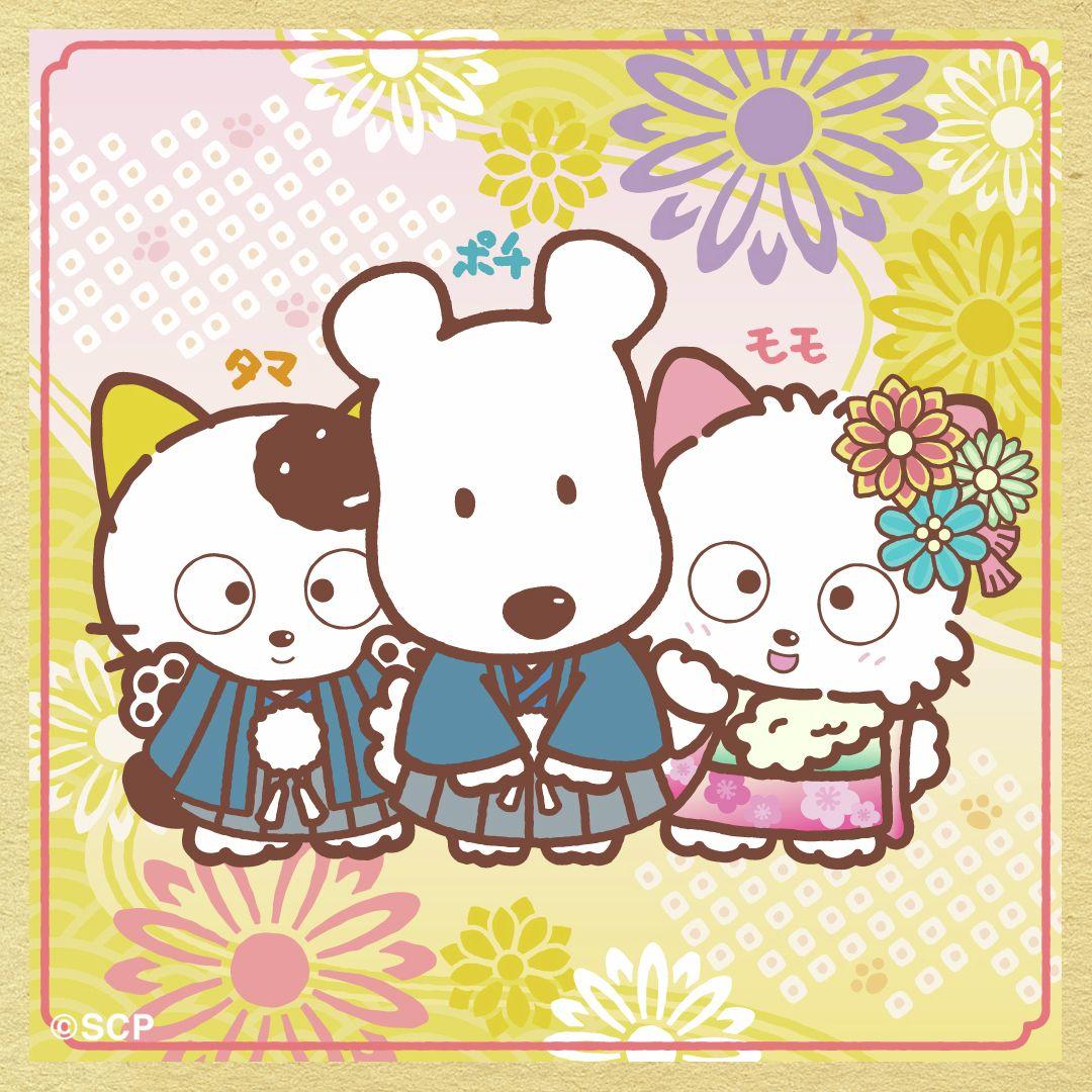 うちのタマしりませんか　正方形8