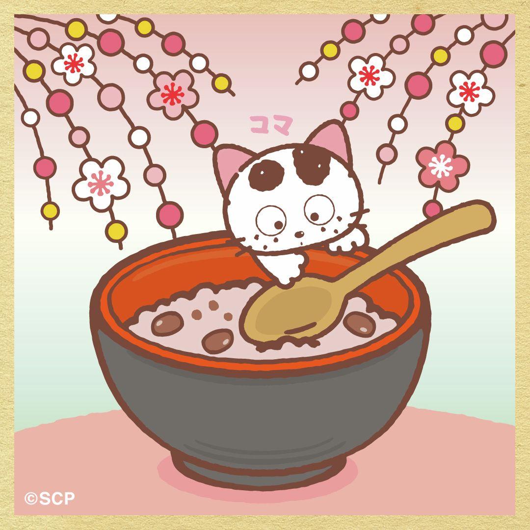 うちのタマしりませんか　正方形8