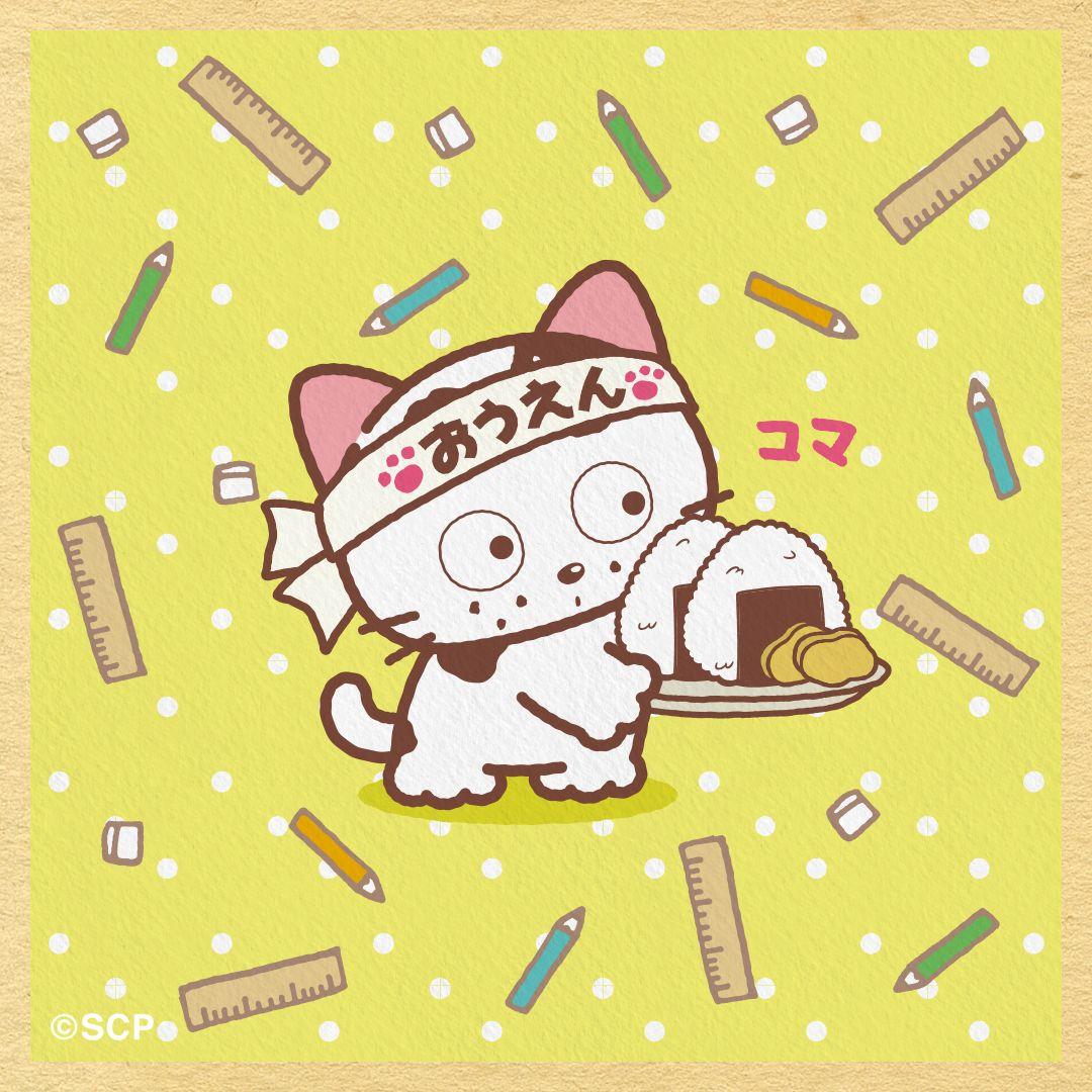 うちのタマしりませんか　正方形8