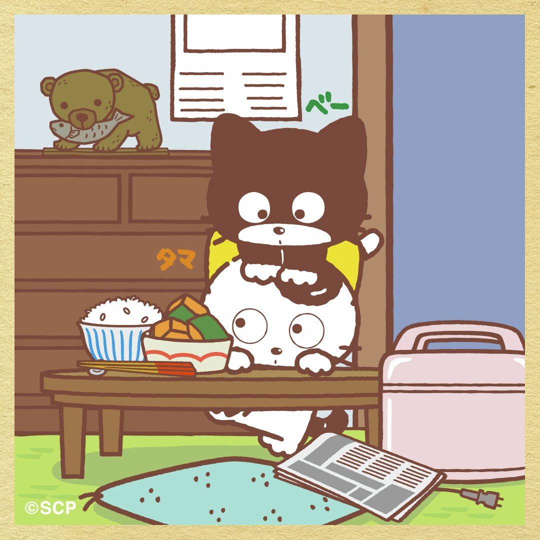 うちのタマしりませんか　正方形8