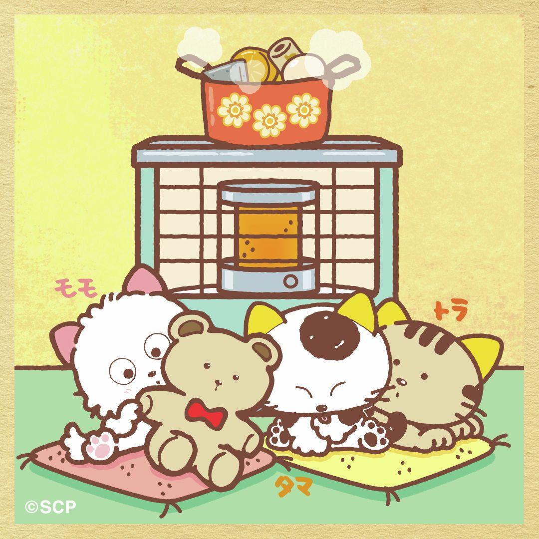 うちのタマしりませんか　正方形8