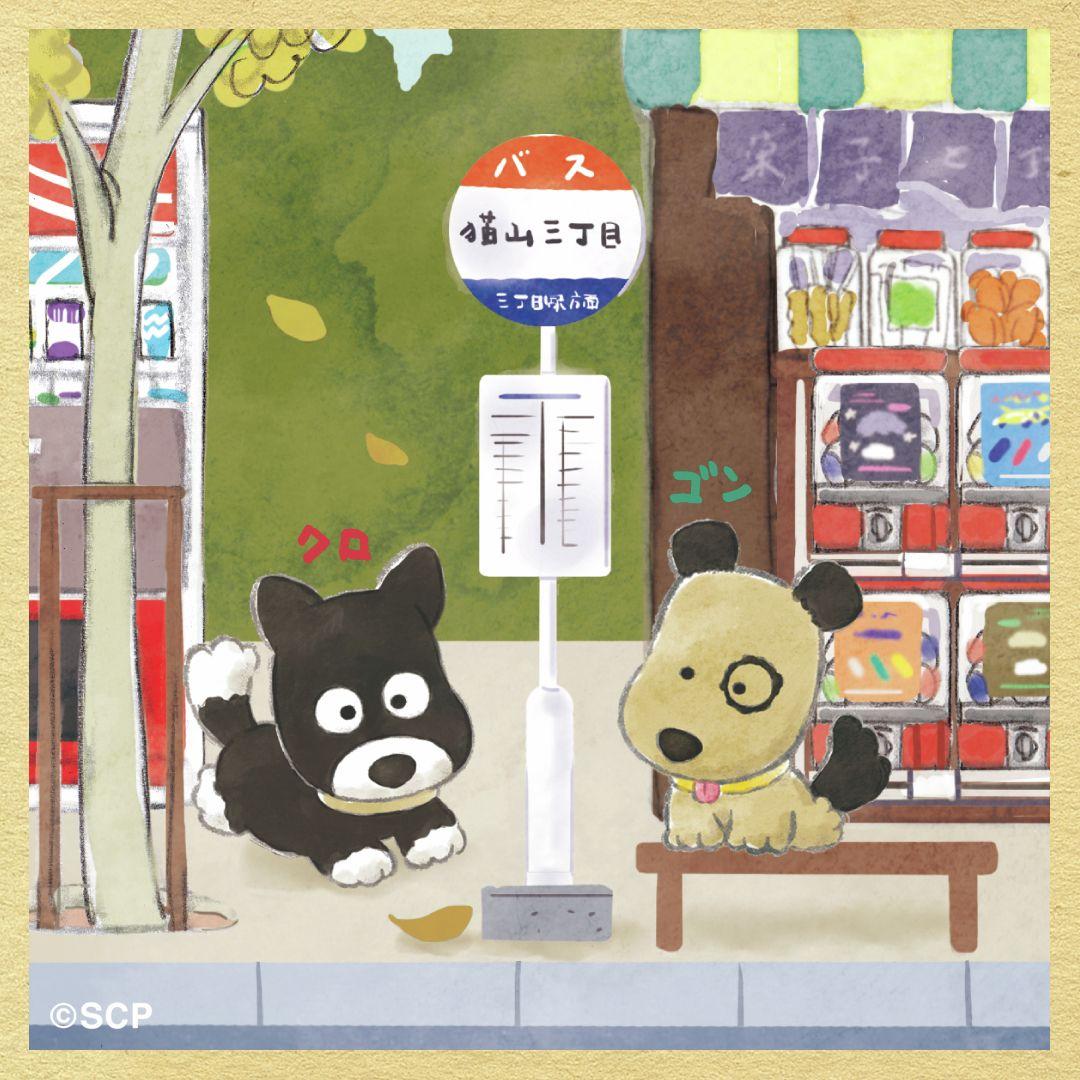 うちのタマしりませんか　正方形8