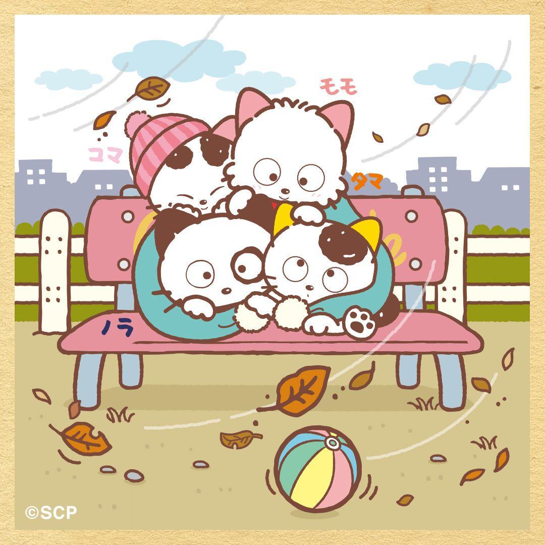 うちのタマしりませんか　正方形8