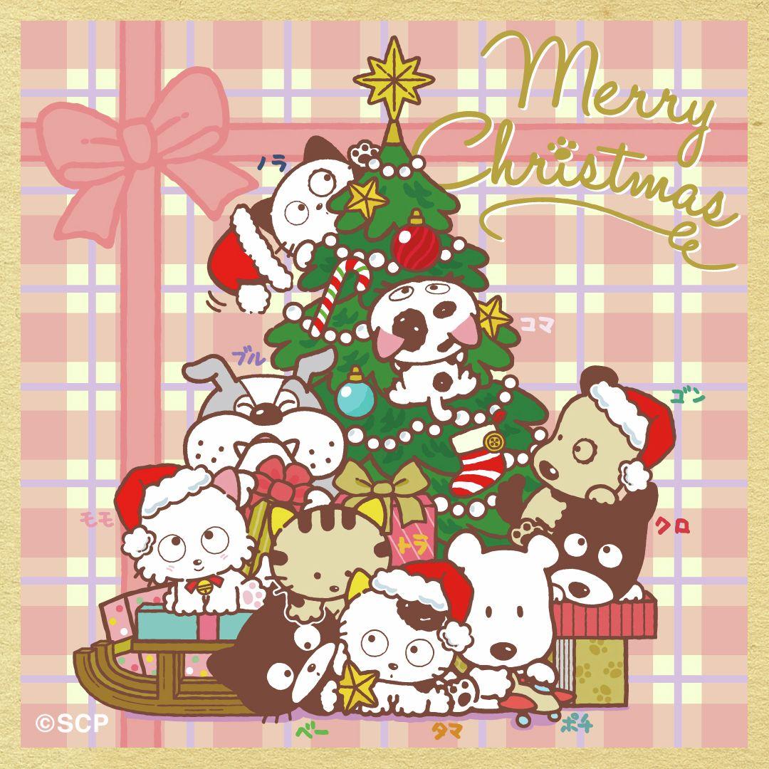 うちのタマしりませんか　正方形8