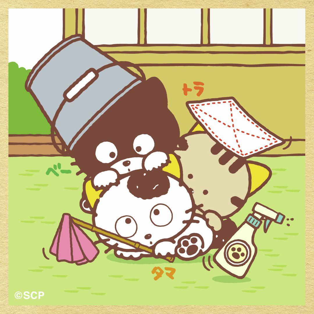 うちのタマしりませんか　正方形8