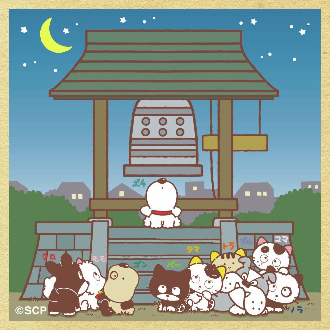 うちのタマしりませんか　正方形8