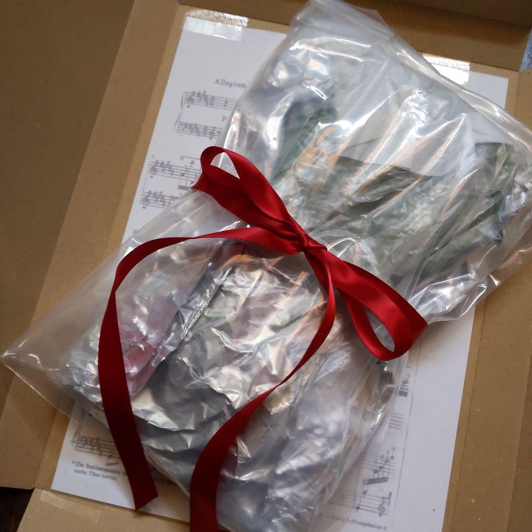 完全無農薬　幸せを運ぶ　野苺【3苗＋種子】野苺お任せ3苗　再送保証有