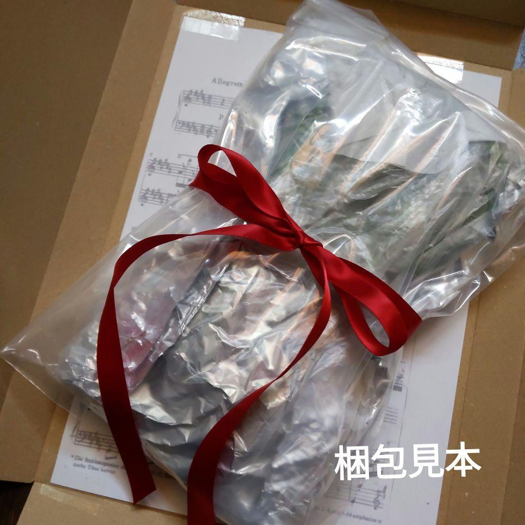 完全無農薬　幸せを運ぶ　野苺【3苗＋種子】野苺お任せ3苗　再送保証有