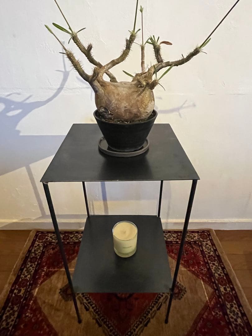 アイアン台　シンプル　無骨　植物棚　ディスプレイ棚