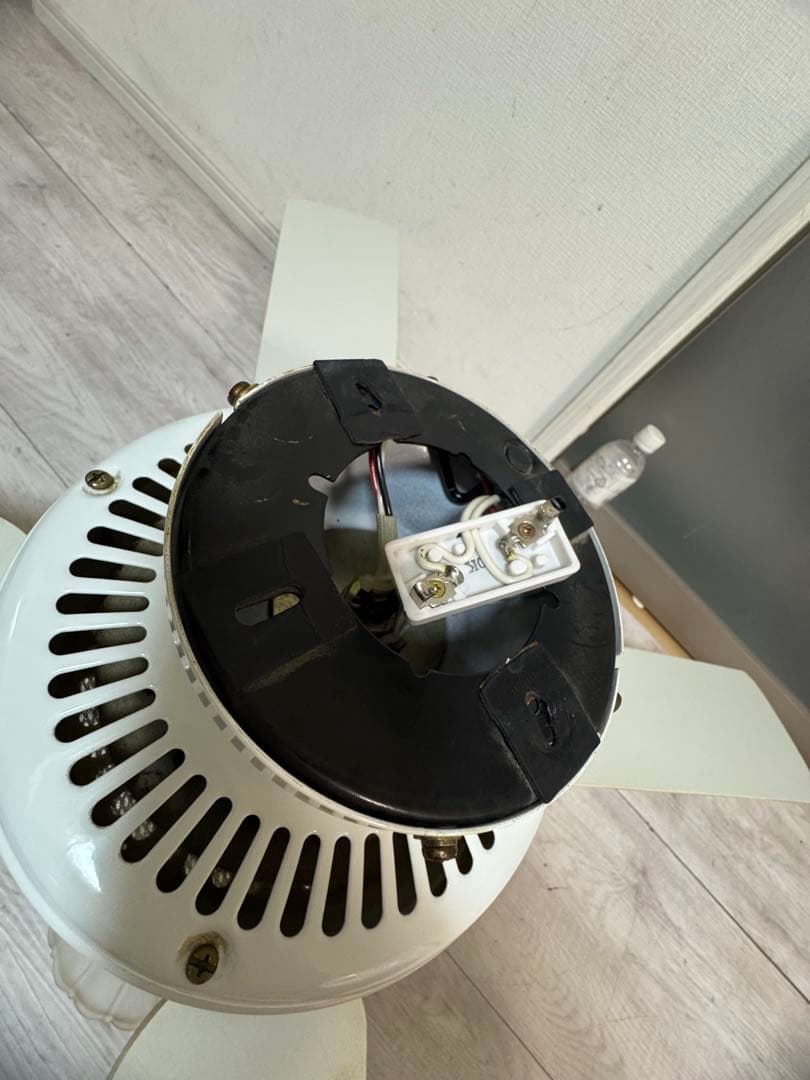 照明付き 天井直付シーリングファン ホワイトシーリングファン 3灯付き