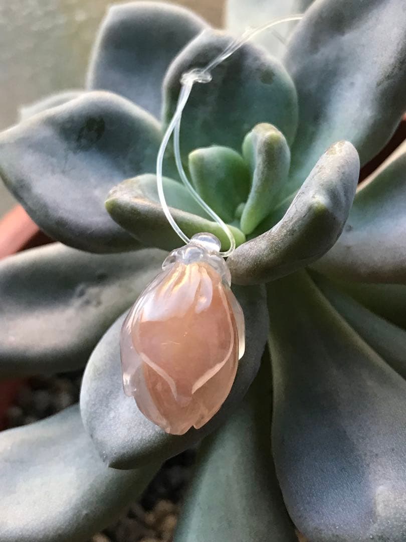 ゴビ石−1431 ゴビ瑪瑙　彫刻　『モクレン』