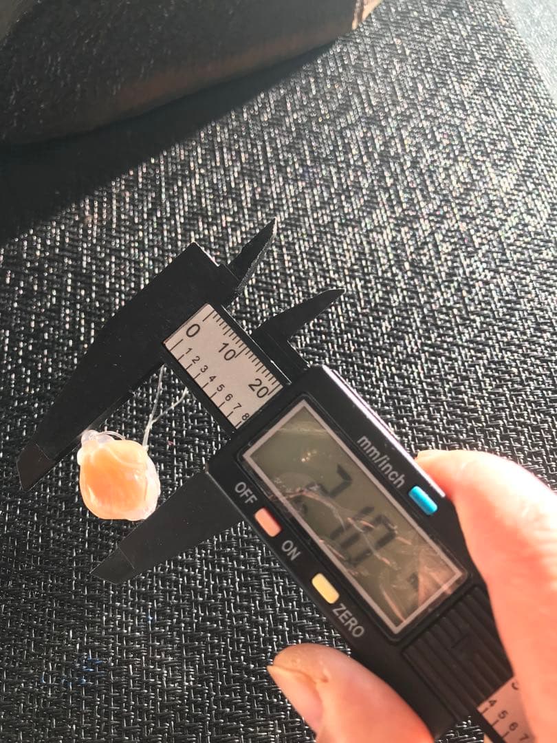 ゴビ石−1431 ゴビ瑪瑙　彫刻　『モクレン』