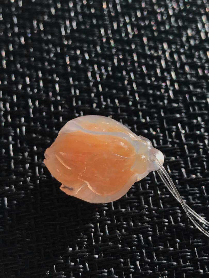 ゴビ石−1431 ゴビ瑪瑙　彫刻　『モクレン』