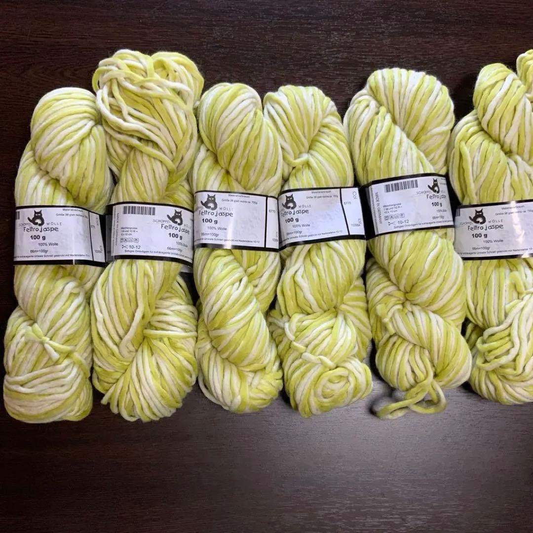 ドイツの毛糸　ショペルフェルトロ　　　6カセ