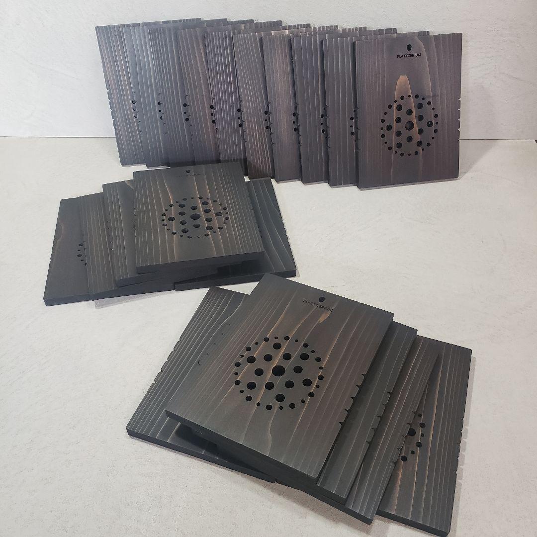 【Teru】着生板 長方形