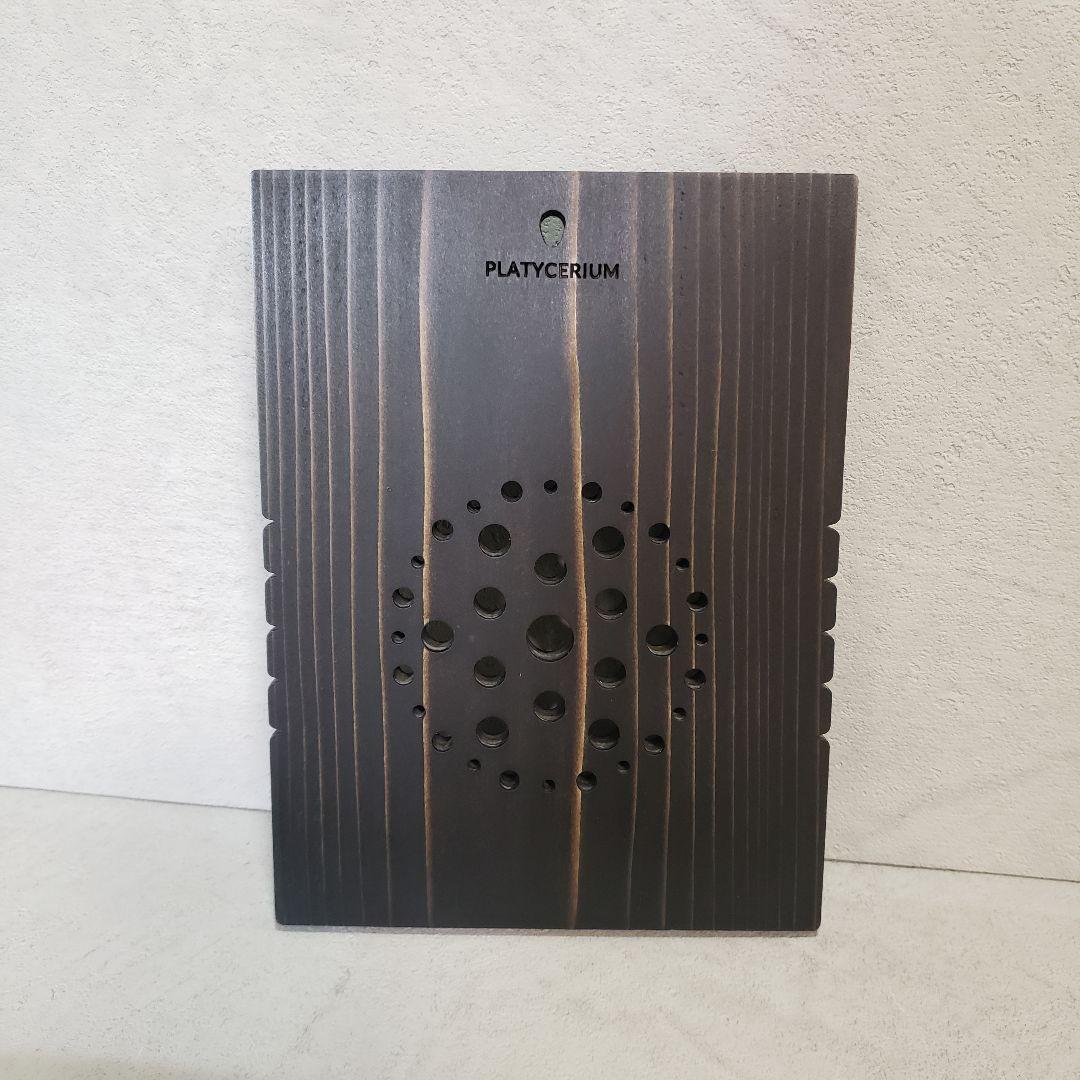 【Teru】着生板 長方形