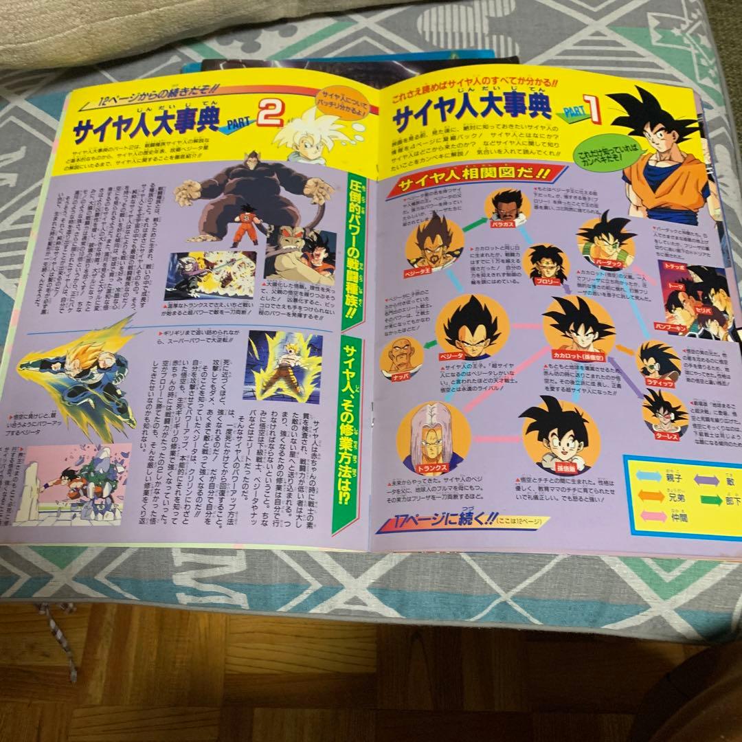 ドラゴンボールZ 燃えつきろ!!熱戦・烈戦・超激戦 映画 パンフレット