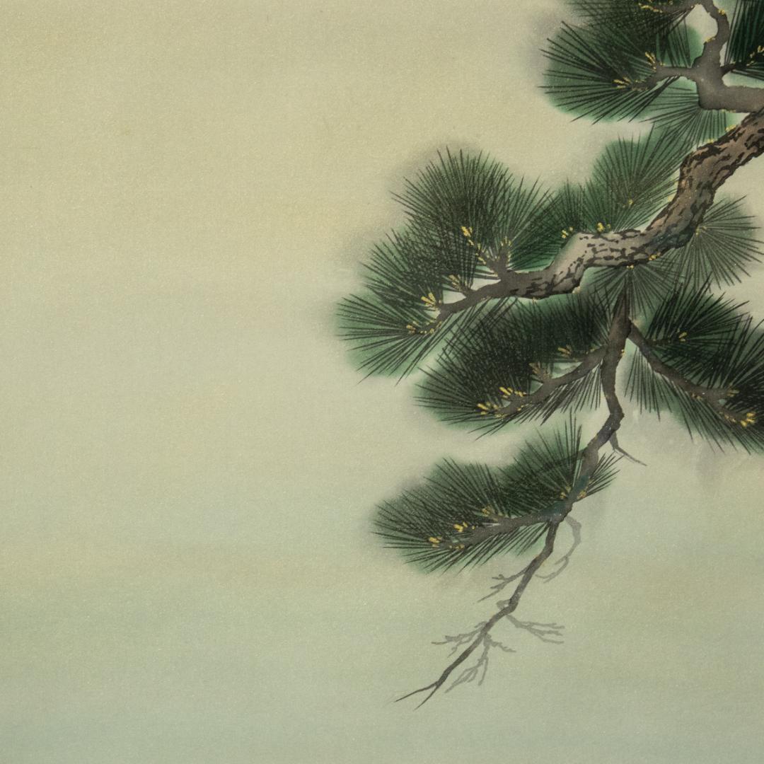 掛軸-1510 岡本珠洸 画 游鯉 共箱 鯉の名手 - メルカリ