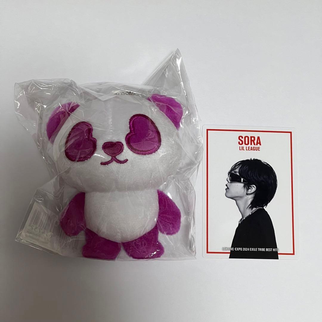 リルリーグ LILLEAGUE 難波碧空 パンダ トレカ付き - メルカリ