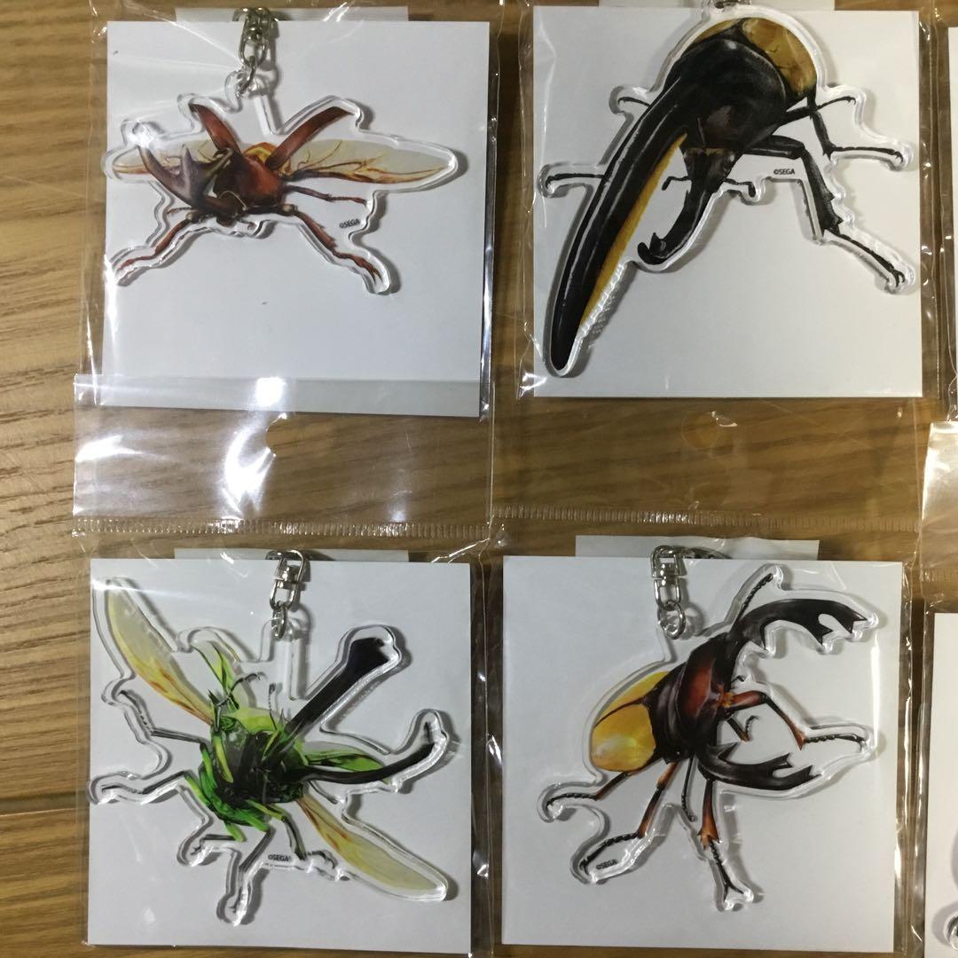 ムシキング20周年ポップアップ限定アクリルキーホルダー8種セット
