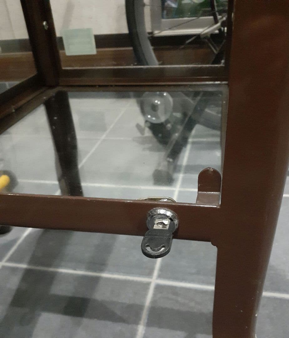 DULTON ドクターキャビネット シャツケース コレクションケース ダルトン