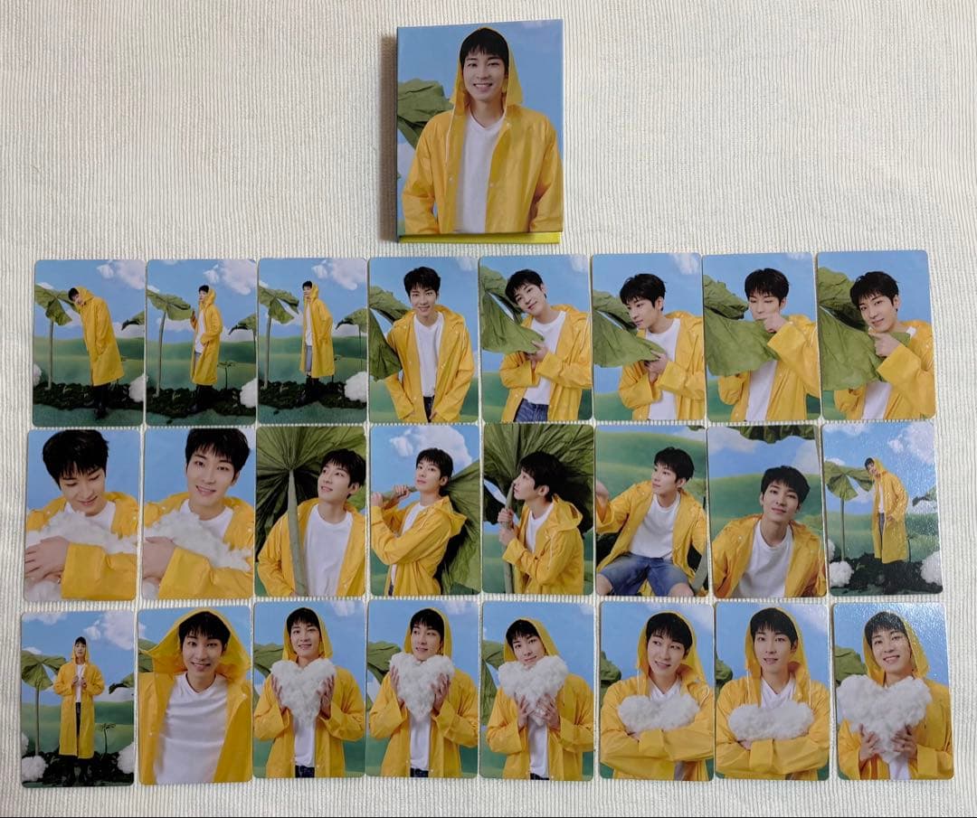 SEVENTEEN トレカ ウォヌ まとめ売り 93枚 ケース付き 被りなし