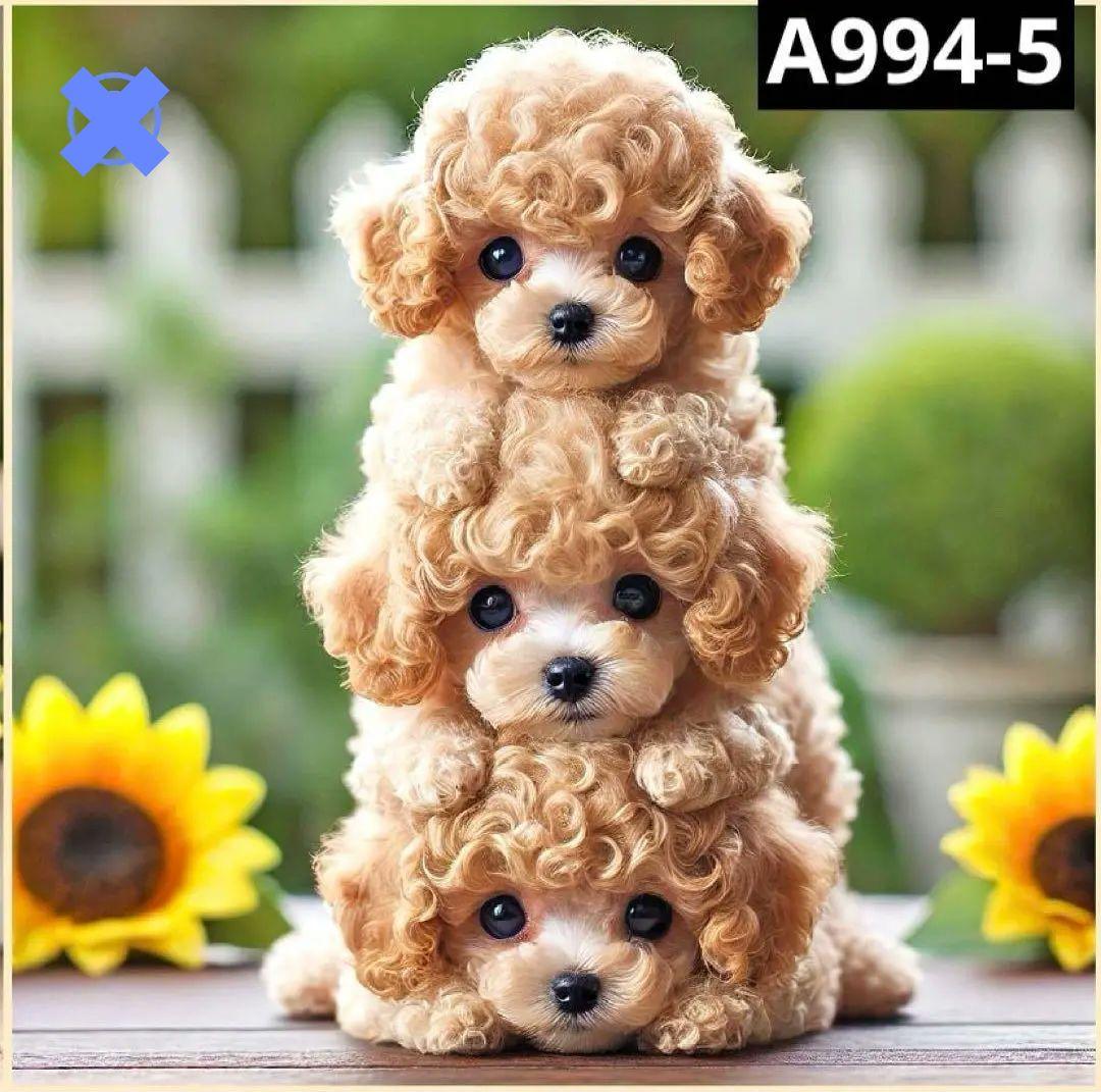 ❦完売しました❦