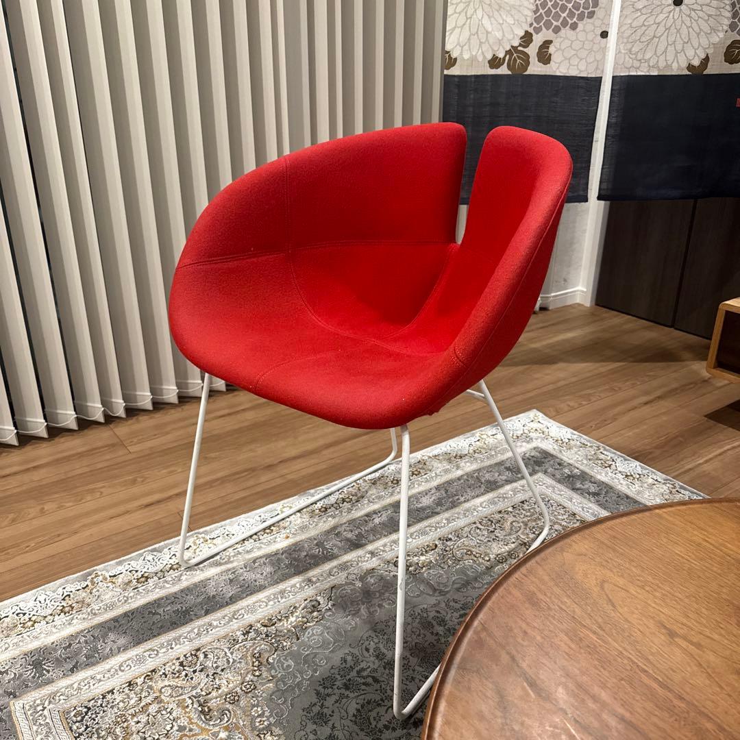 イタリア　チェアー　MOROSO モローゾ