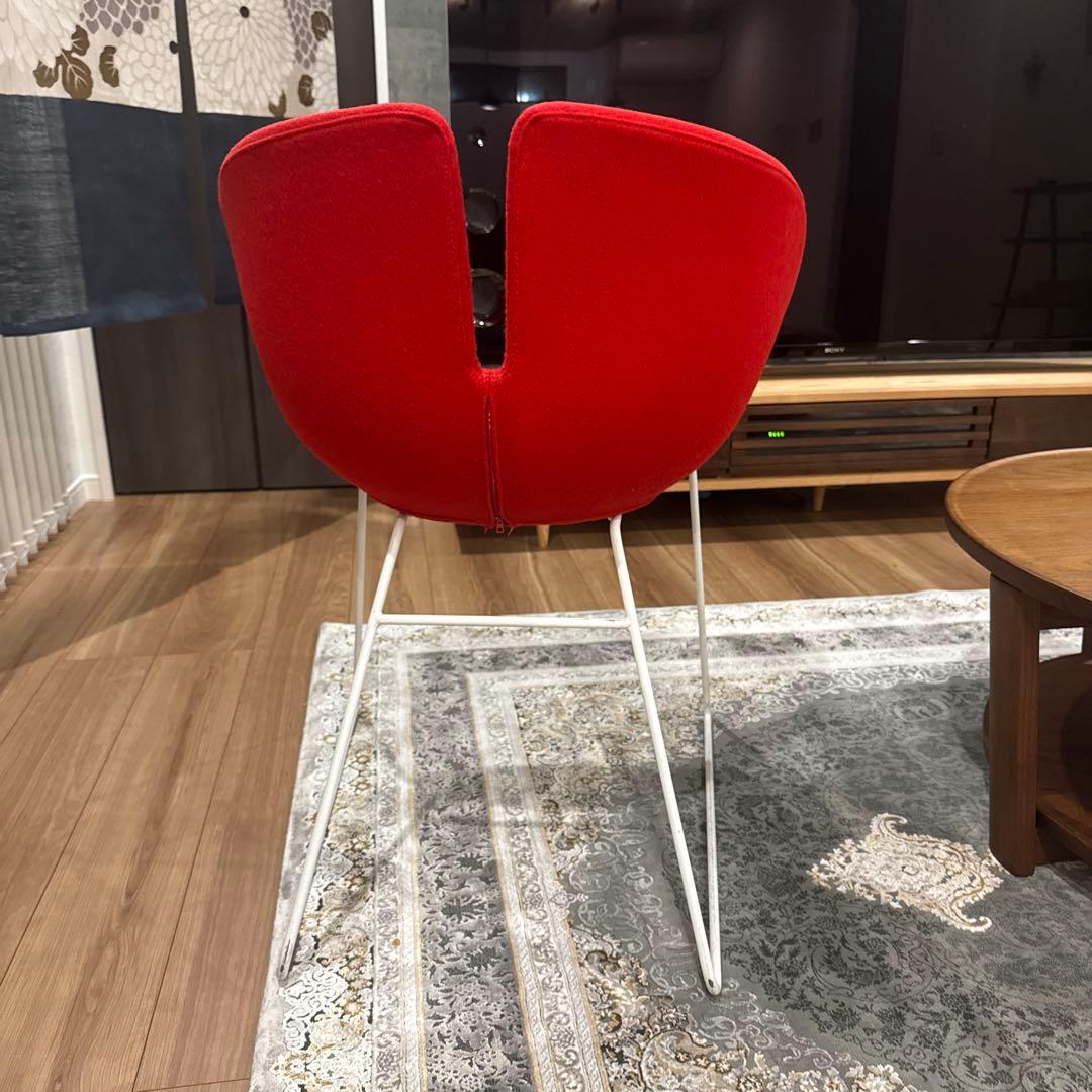 イタリア　チェアー　MOROSO モローゾ