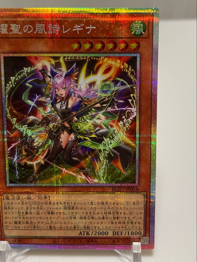 【最安値】エルフェンノーツ　レギナ　プリシク