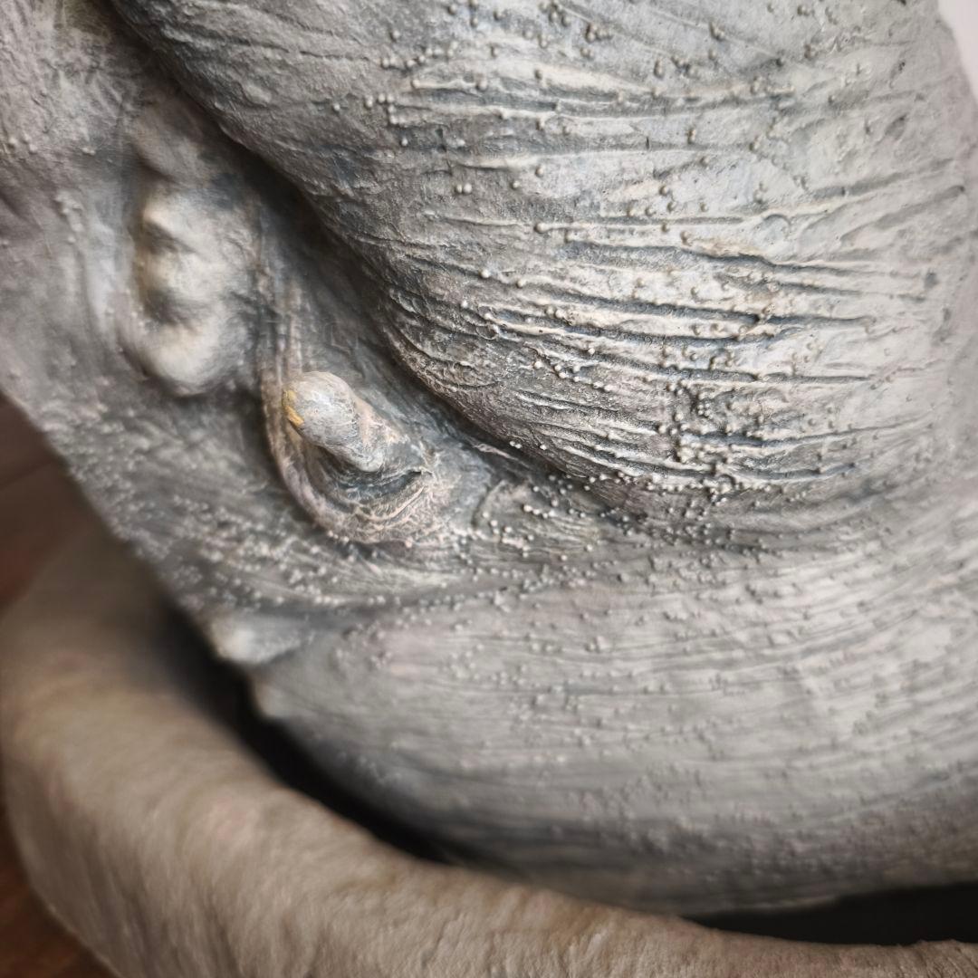 スターウォーズエピソード5帝国の逆襲 エクソゴース スペーススラッグ