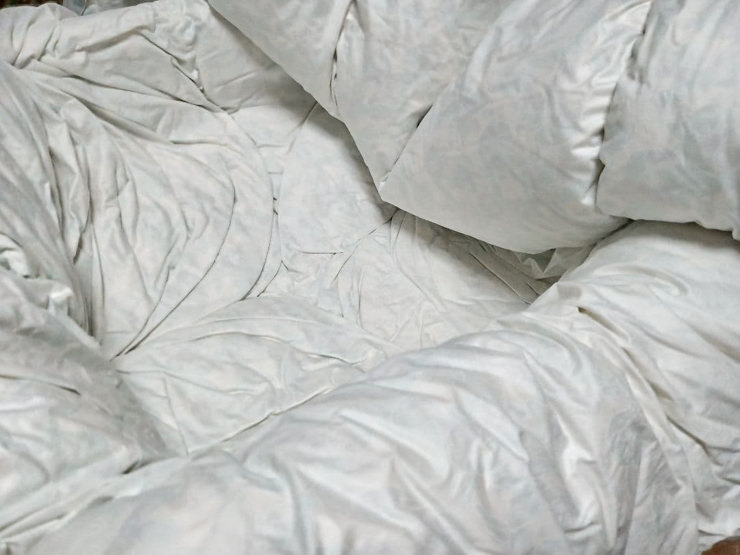 高級羽毛布団と羽毛肌掛けふとんのセット シングル ブルー系 ツーウェイ✨️日本製