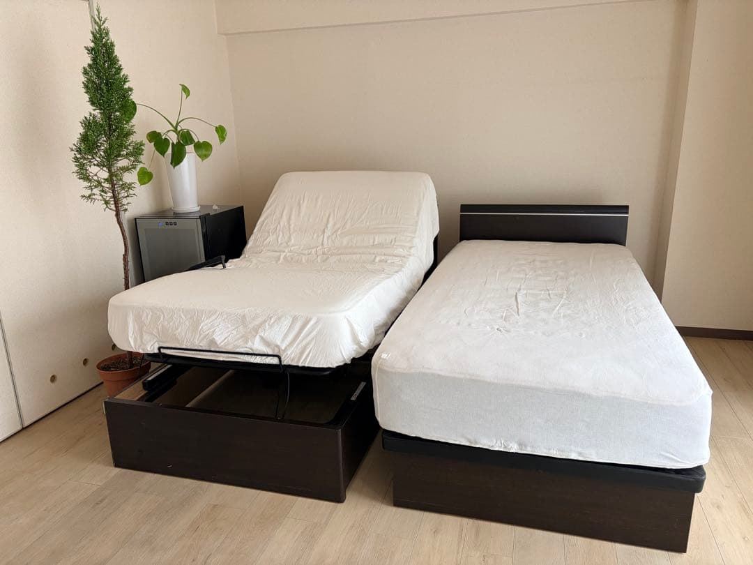 ドリームベッド (介護可能電動式ベッドと、収納式ベッド)
