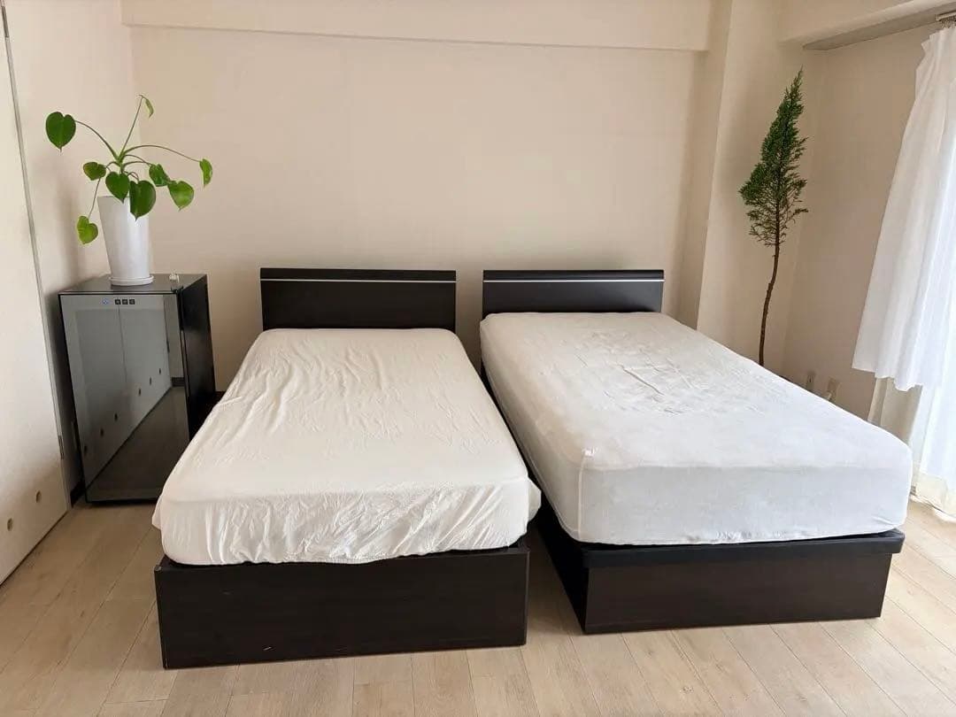 ドリームベッド (介護可能電動式ベッドと、収納式ベッド)