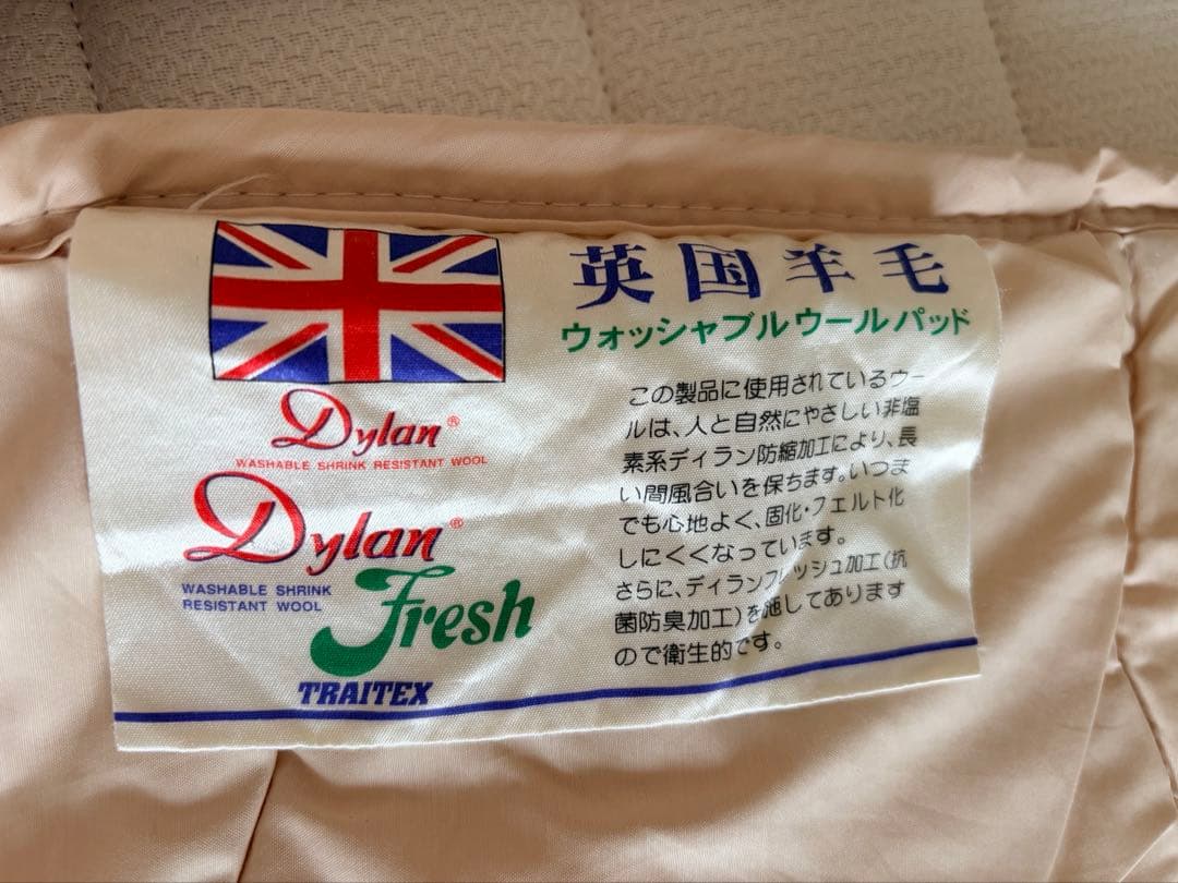 ドリームベッド (介護可能電動式ベッドと、収納式ベッド)