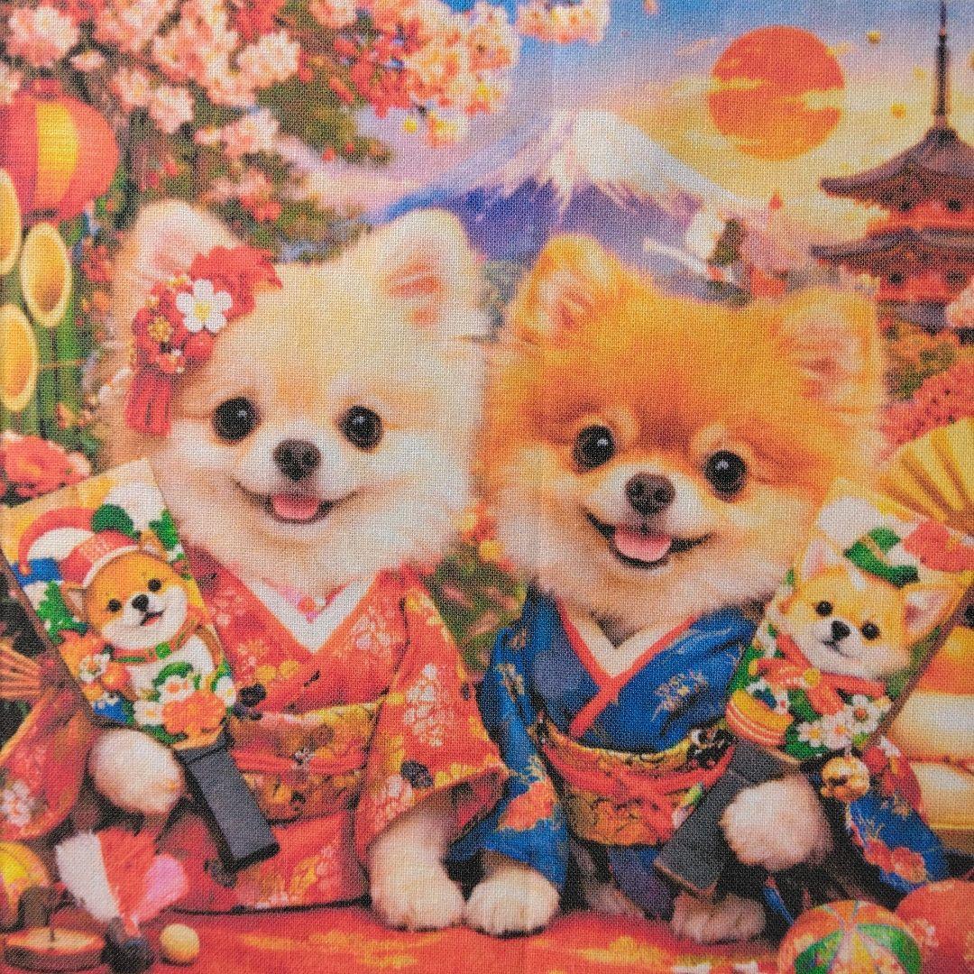 ☆受付☆ポメラニアン No.A