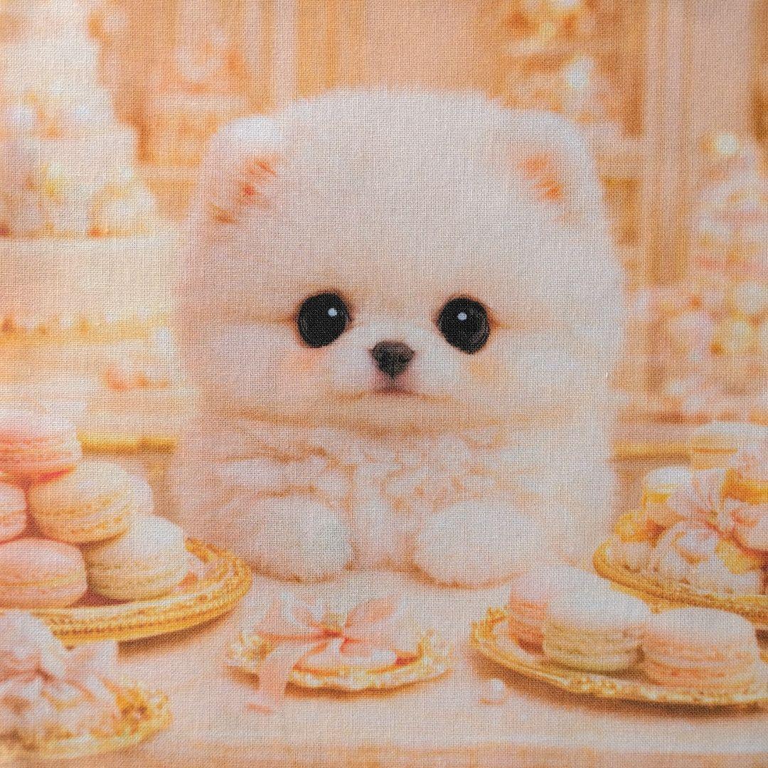 ☆受付☆ポメラニアン No.A