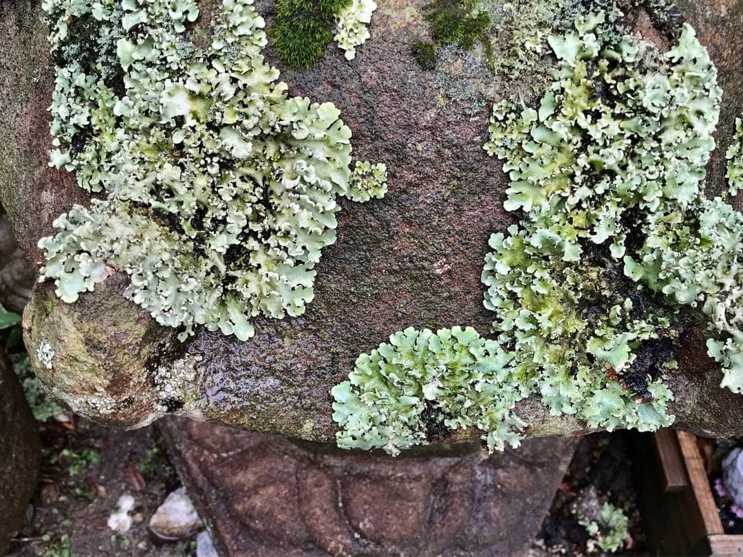 【石灯篭・時代石灯篭】庭石オブジェ置物箱庭ガーデニング造園坪庭茶庭石材彫刻露地庭