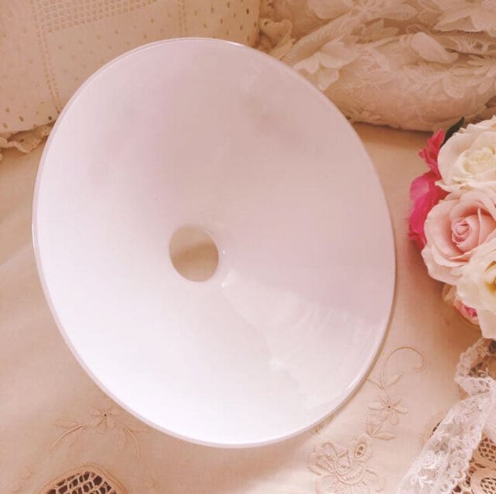 お値下げ♡マニーステンシルローズガラス傘型シェードイマンローズ薔薇