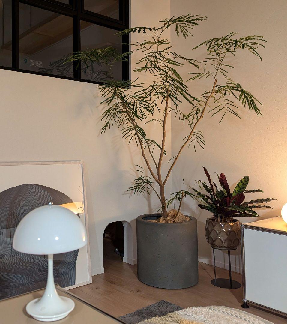 グレー コンクリート風 プランターカバー 植木鉢 鉢 鉢カバー 大きめ 12号