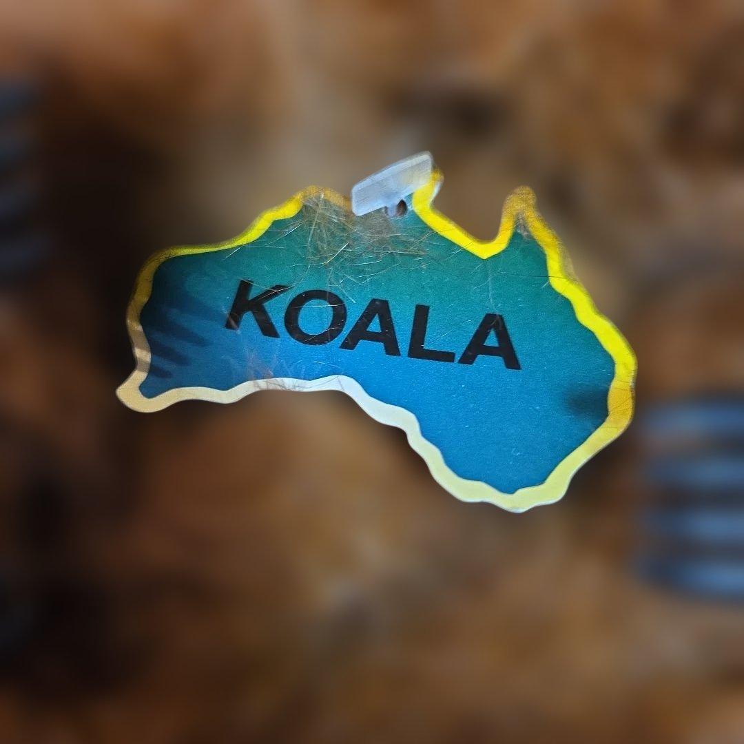 コアラ手作り 本物オポッサム毛皮製ぬいぐるみ 約20cmニュージーランド製