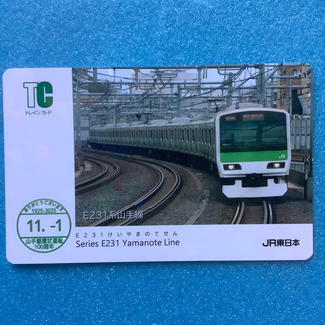 14枚フルコンプリート】山手線 環状運転100周年記念電車カード - メルカリ