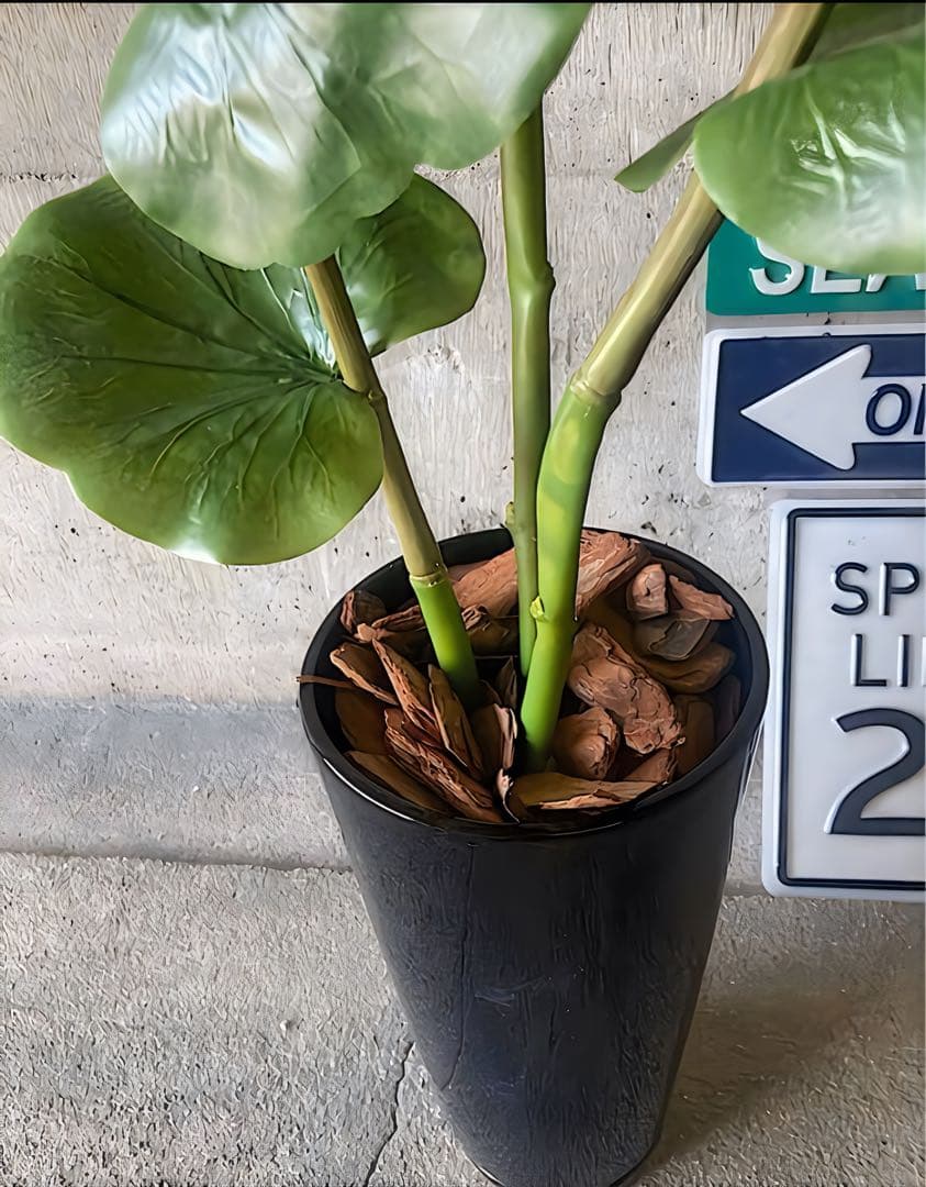 光触媒　人工観葉植物　ウォールグリーン　フェイクグリーン　シーグレープ120