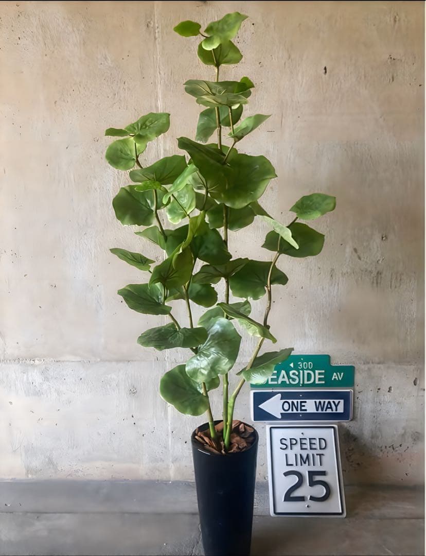 光触媒　人工観葉植物　ウォールグリーン　フェイクグリーン　シーグレープ120