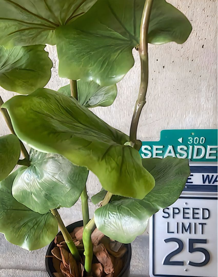 光触媒　人工観葉植物　ウォールグリーン　フェイクグリーン　シーグレープ120