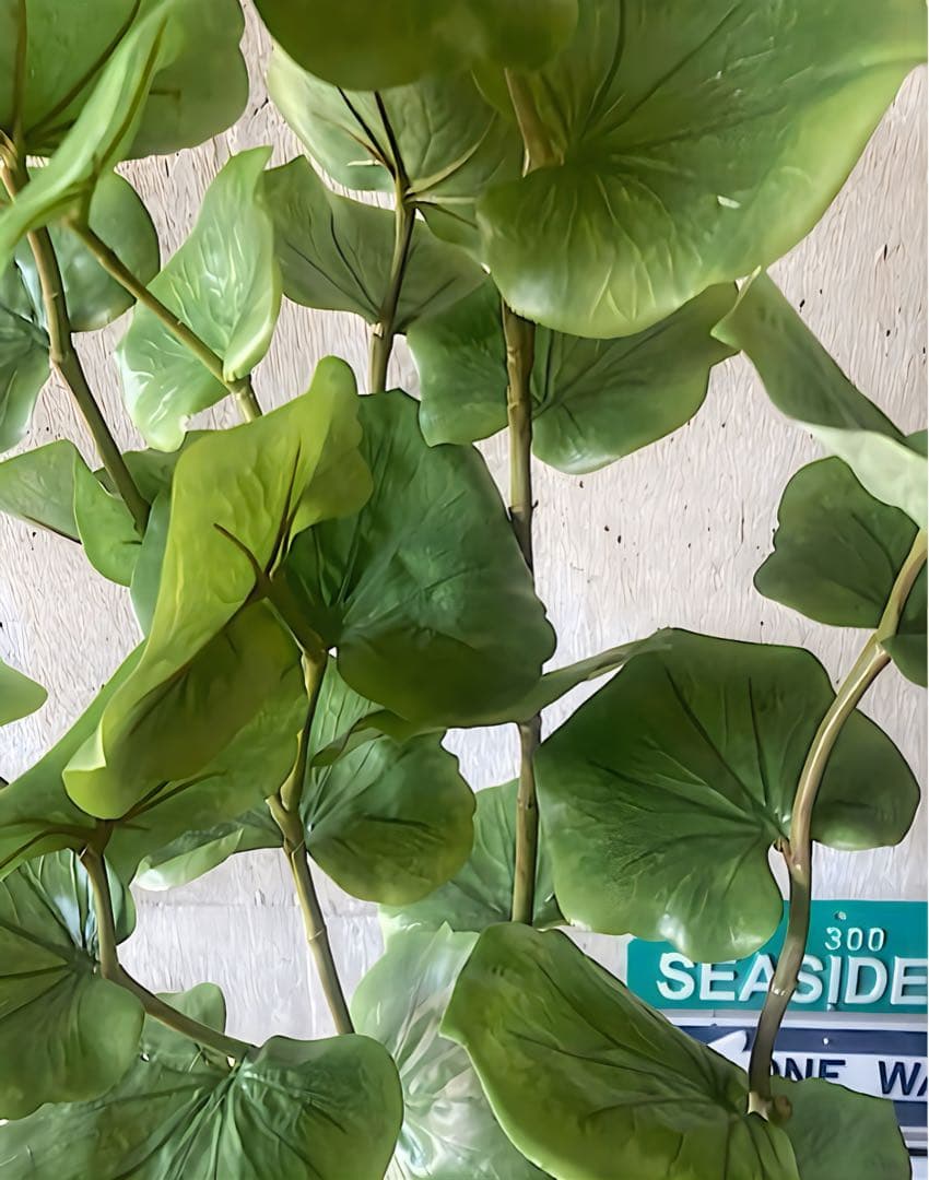 光触媒　人工観葉植物　ウォールグリーン　フェイクグリーン　シーグレープ120