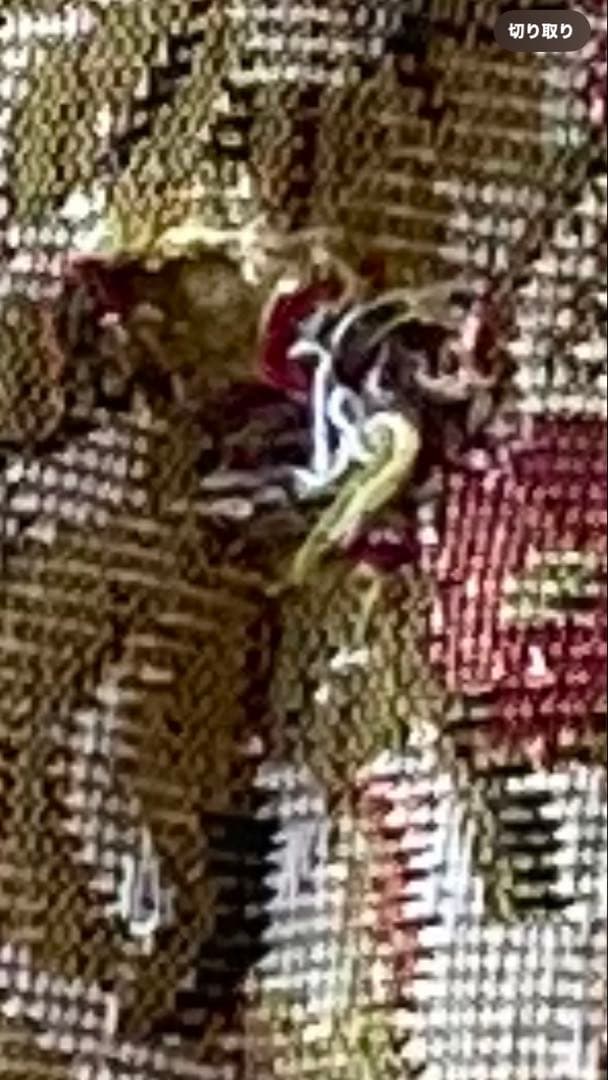 フランスアンティーク　猫脚サロンチェア　２人掛け