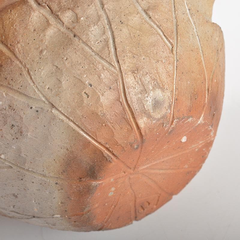 煎茶道具 備前焼 明光窯 蟹摘蓮葉 宝瓶 急須 共箱 D R6073