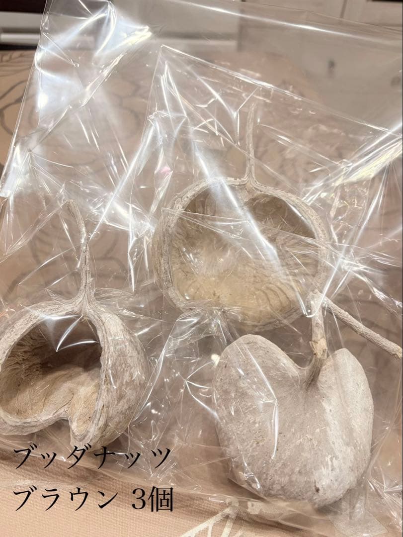 大地農園〜他花材、アレンジ雑貨まとめ売り☆赤字覚悟の出品です‼️ギリギリ値下げ